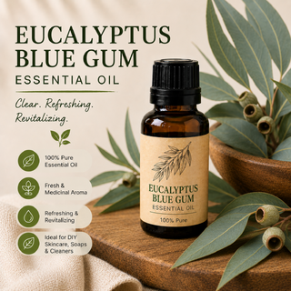 Eucalyptus Blue Gum Essential Oil Refill
