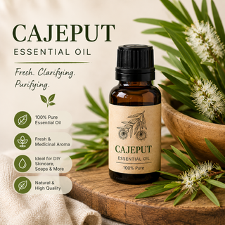 Cajeput Essential Oil Refill