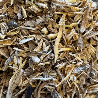 Organic Angelica Root