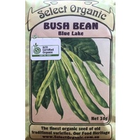 Bush Bean - Blue Lake