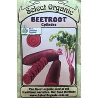 Beetroot - Cylindra