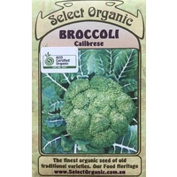 Broccoli - Calibrese