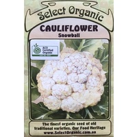 Cauliflower - Snowball