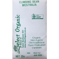 Climbing Bean - Westralia