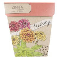 Zinnia Seeds