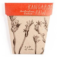 Kangaroo Paw Seeds