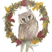 Plantable Card Christmas Owl