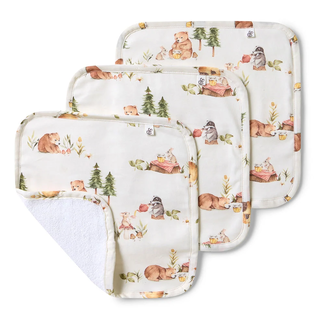 Organic Cotton Wash Cloths Bears