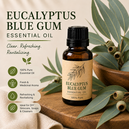 Eucalyptus Blue Gum Essential Oil Refill