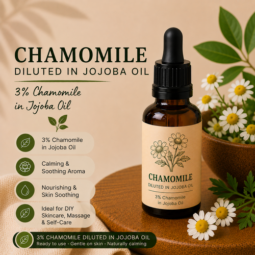 Chamomile Oil 3% Dilution in Jojoba Oil Refill