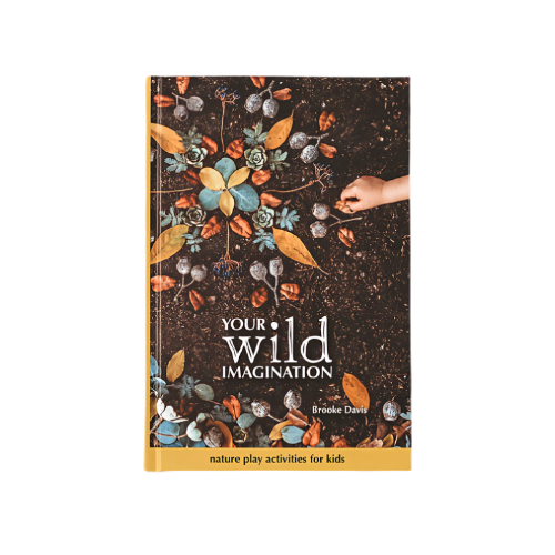 Your Wild Imagination Book