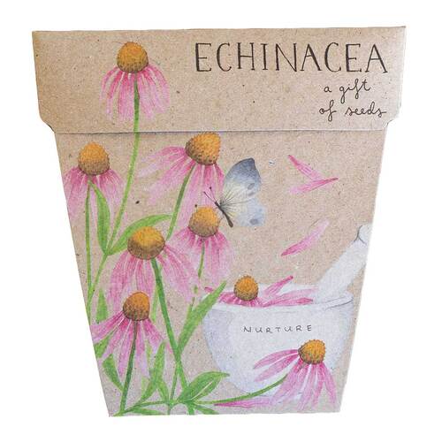 Echinacea Seeds