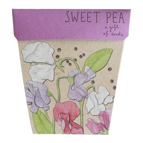 Sweet Pea Seeds