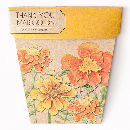Thank You Marigold Seeds