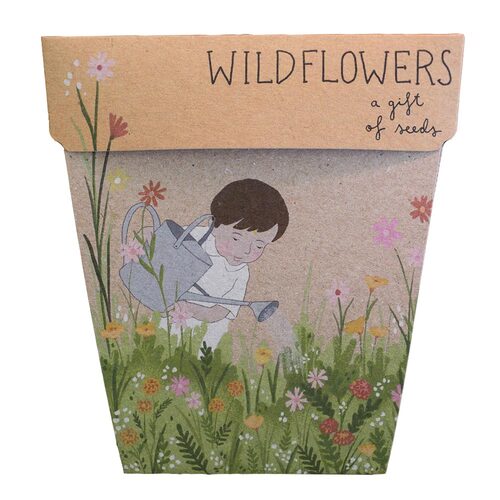 Wildflower Seeds